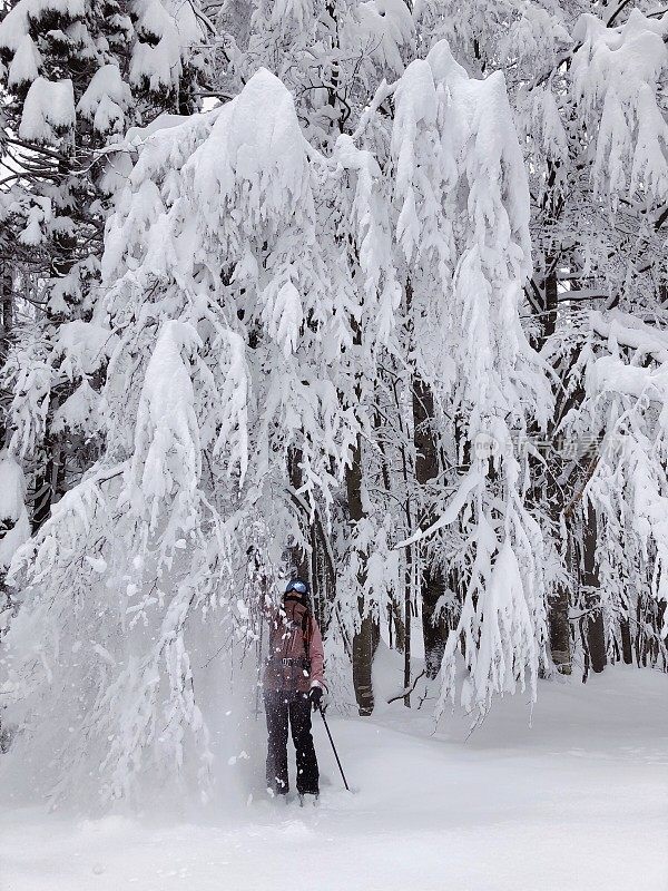 年轻夫妇用雪[暴风雪]戳树